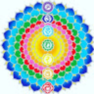 Meet your Posher, Nicolette